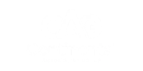 Continental Automotive Group