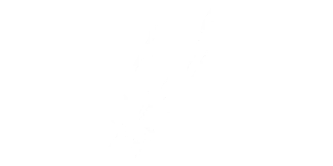 Spurs Sports & Entertainment